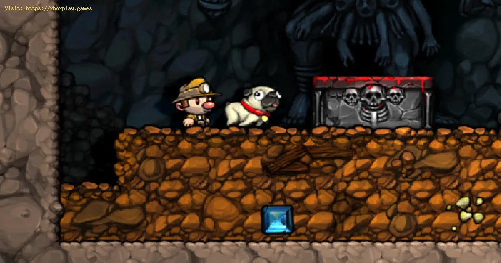 Spelunky 2: How to use Pets