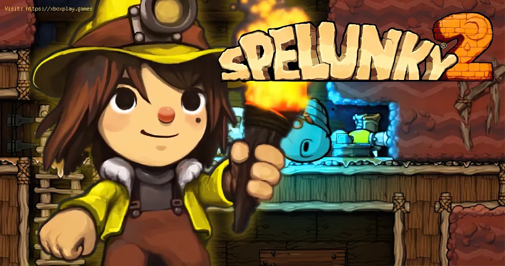 Spelunky 2: How to Use the Shrine