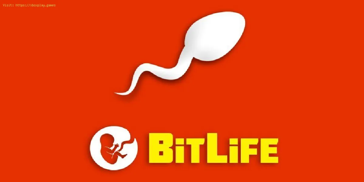 BitLife: How to be a Monk