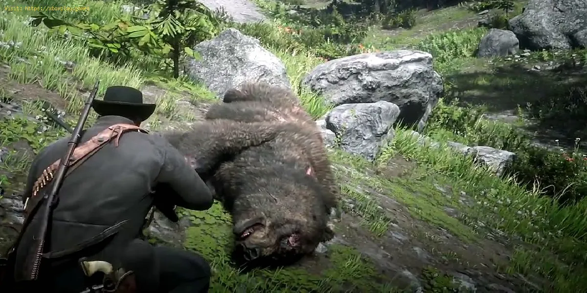Red Dead Online: Wie man legendäre Bären findet