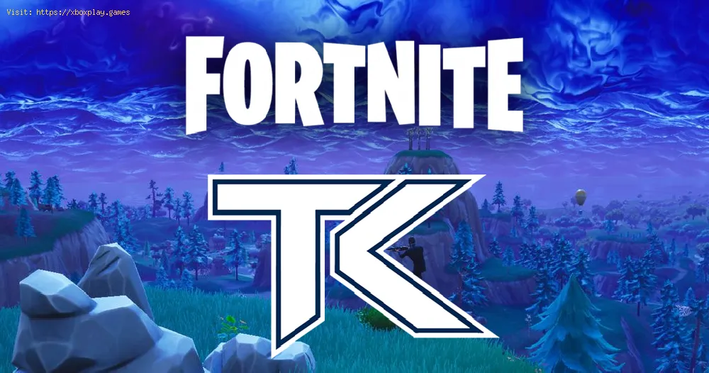 The Kaliber Fortnite pro team was expelled for piracy.