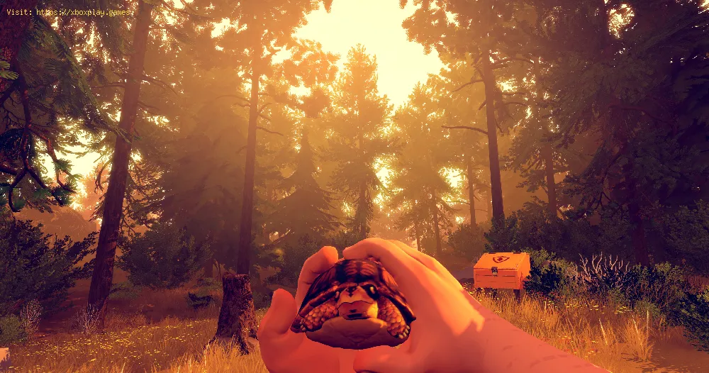 Firewatch for Nintendo Switch will be available before the end of the year