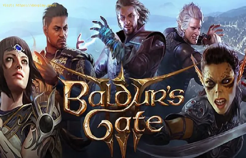 Baldur’s Gate 3: How To Level Up