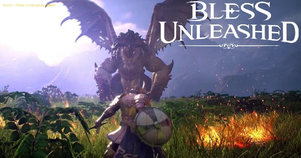Bless Unleashed: How to play with friends