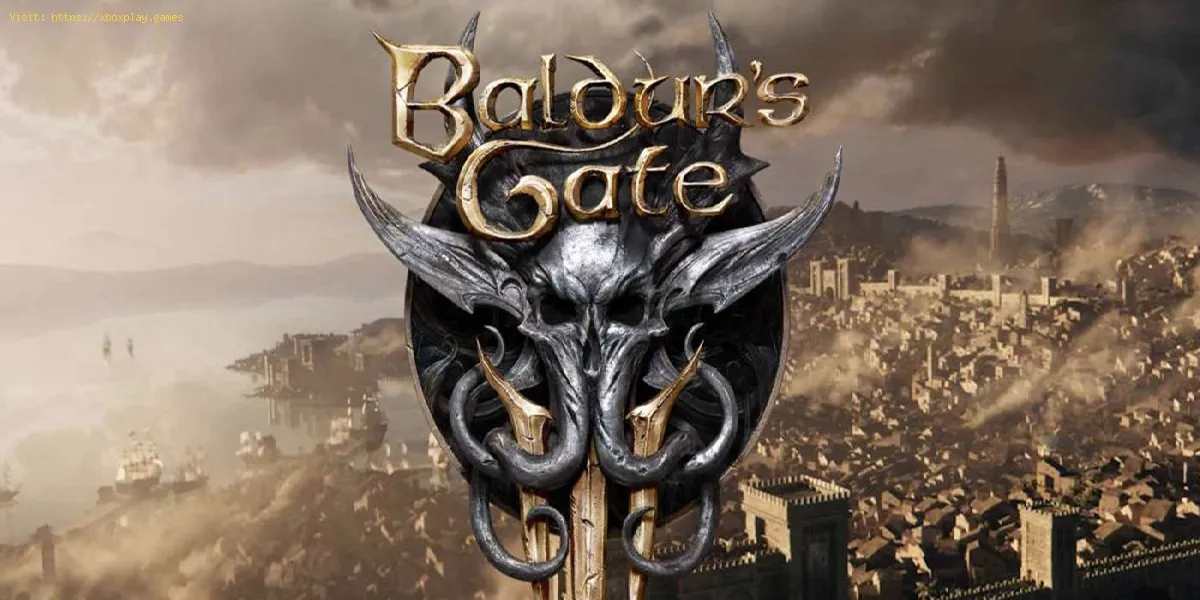 Baldur's Gate 3: Wie man das Eulenbärenjunges bekommt