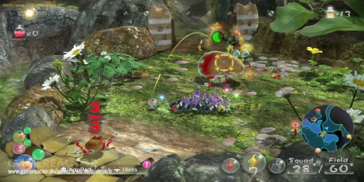 Pikmin 3 Deluxe: How to Play with friennds