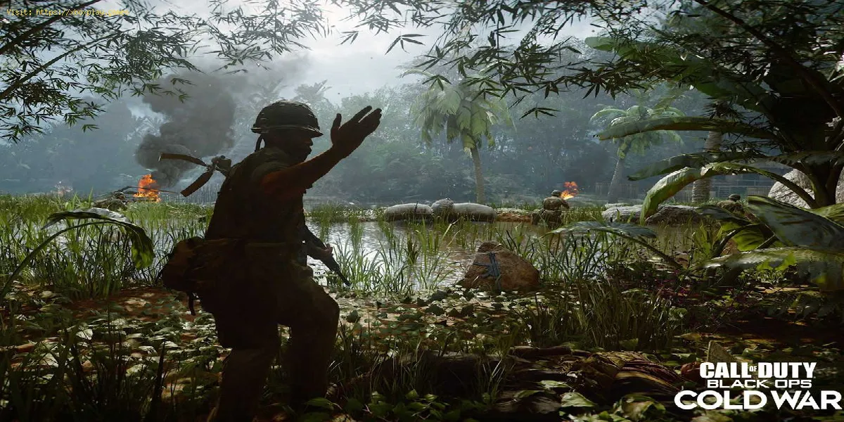 Call of Duty Black Ops Cold War: Comment corriger l'incapacité à rejoindre le crossplay de gr