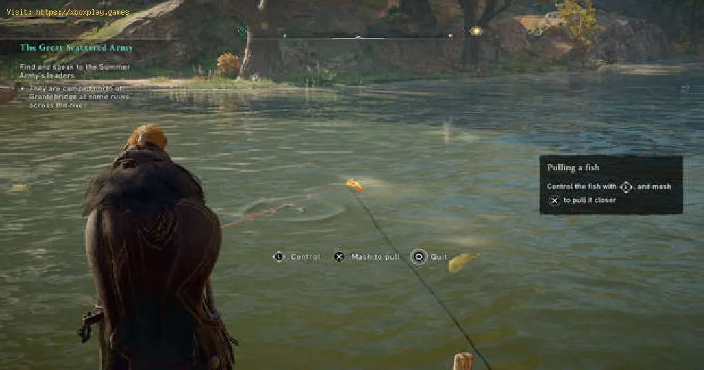 Assassin's Creed Valhalla：すべての魚を見つける場所
