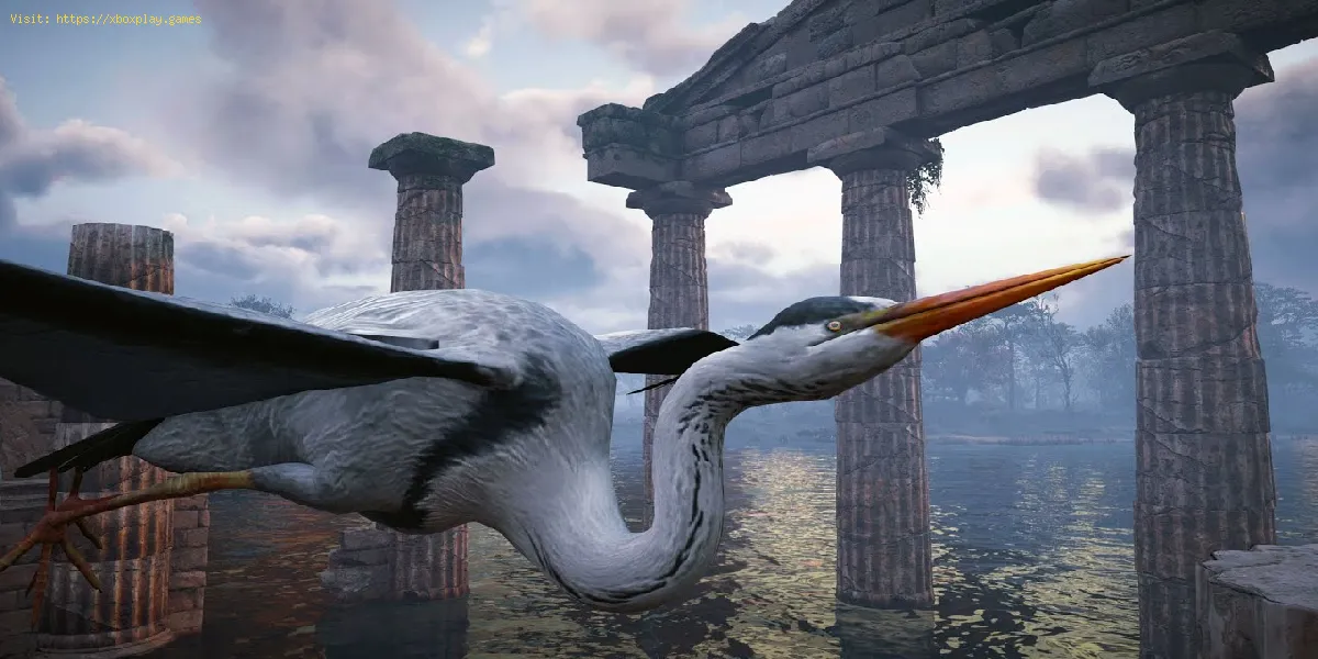 Assassin's Creed Valhalla: So finden Sie Heron Beaks