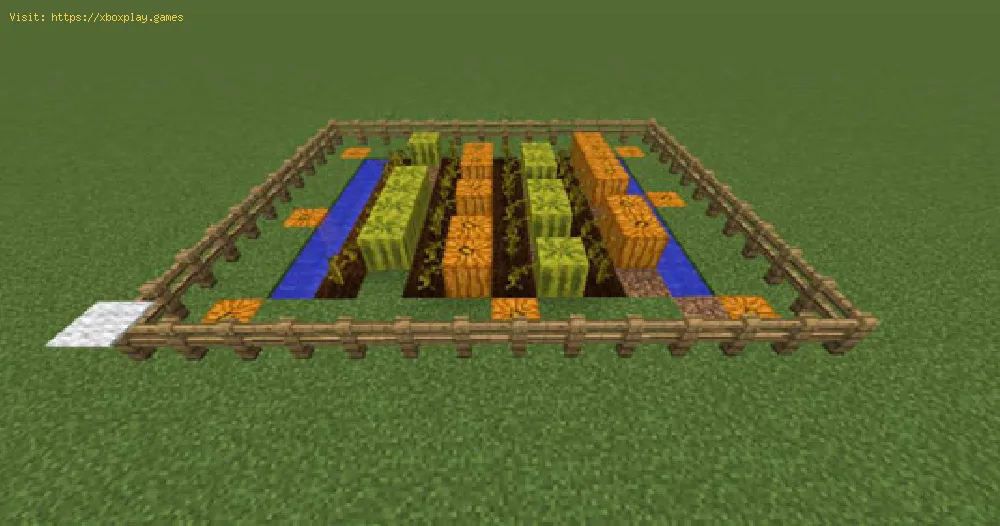 Minecraft: How to get a vegetable garden