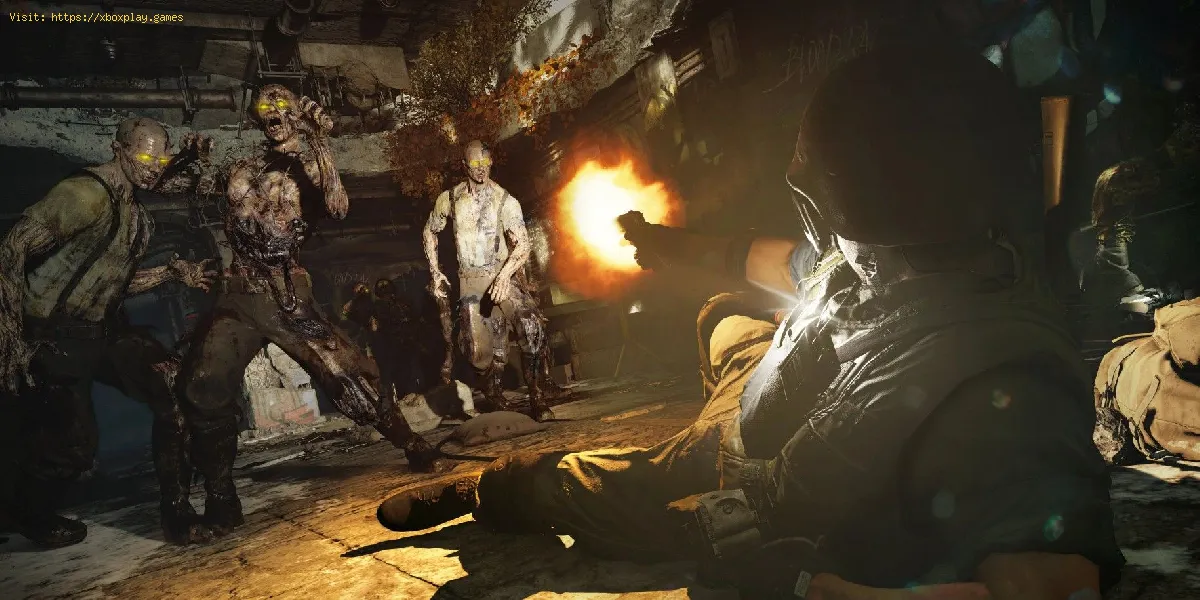 Call of Duty Black Ops Cold War: Wie man Intel in den Zombies-Modus bringt