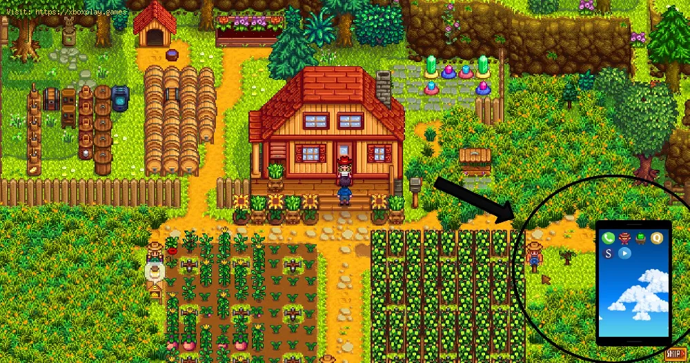 Stardew Valley: How to fish