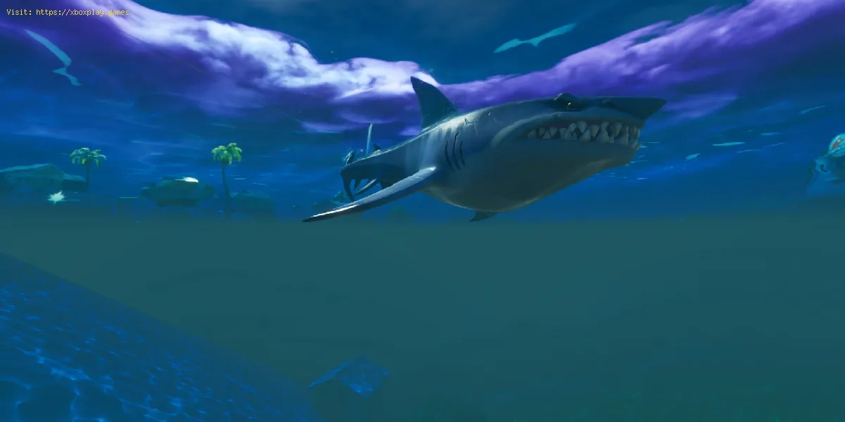 Fortnite: Où endommager un requin butin