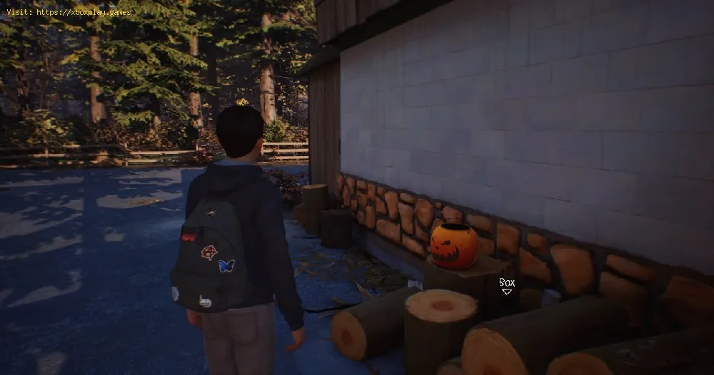 Life is Strange 2  Episode 3 Guide: How to get  All Collectibles and Drawings 