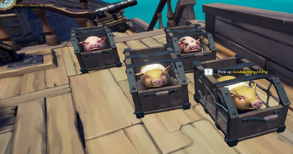 Sea of Thieves: How to get pigs and pig crates