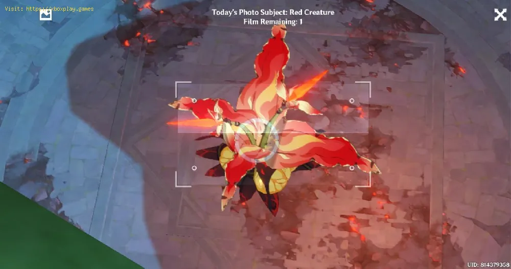 Genshin Impact: Where to Get Red Creature Photos