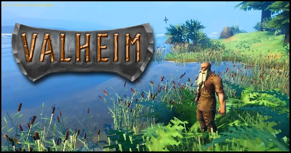 Valheim: How to find Ancient Seeds