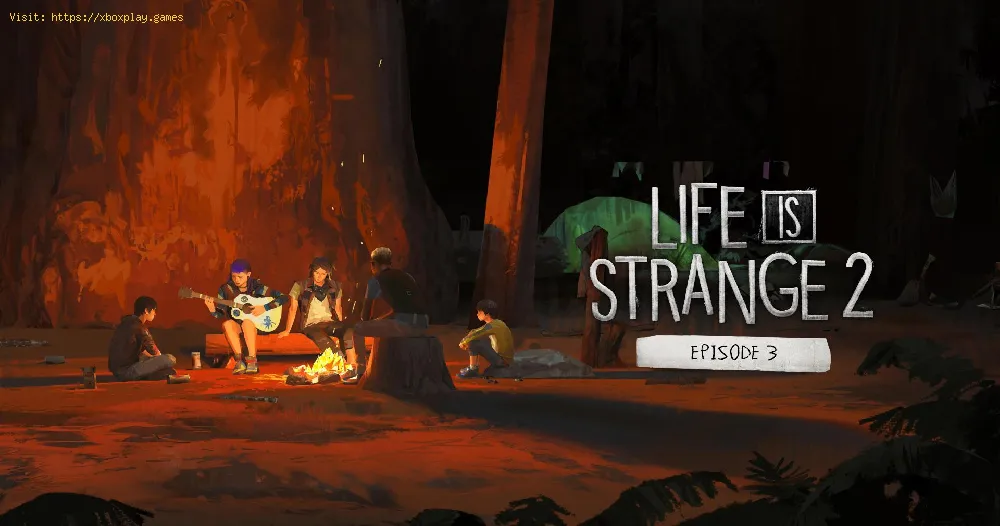 Life is Strange 2 Guide: move the trunk and the Fallen Tree