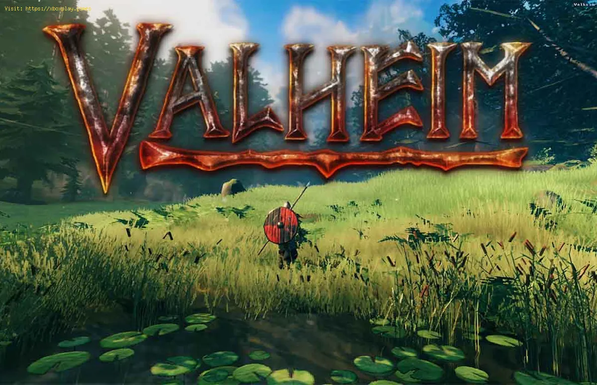 Valheim: How to Fix Server Not Showing Up