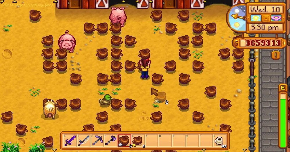 Stardew Valley: How To Get Truffles - tips and tricks