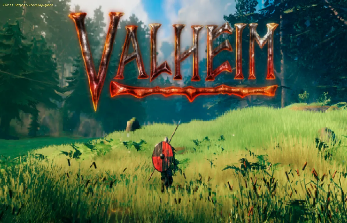 Valheim: How To Get Rid Of A Beehive