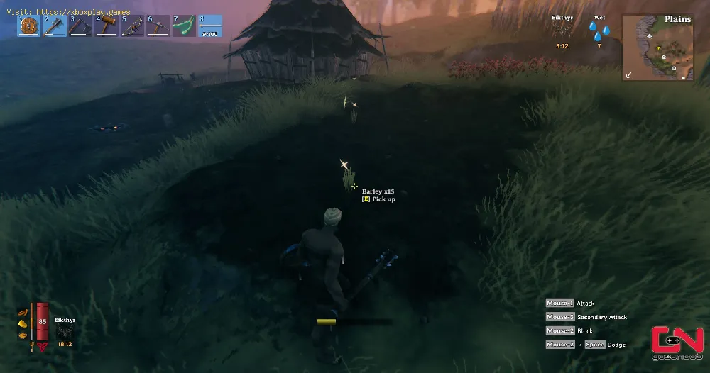 Valheim: How to Get Flax - Tips and tricks