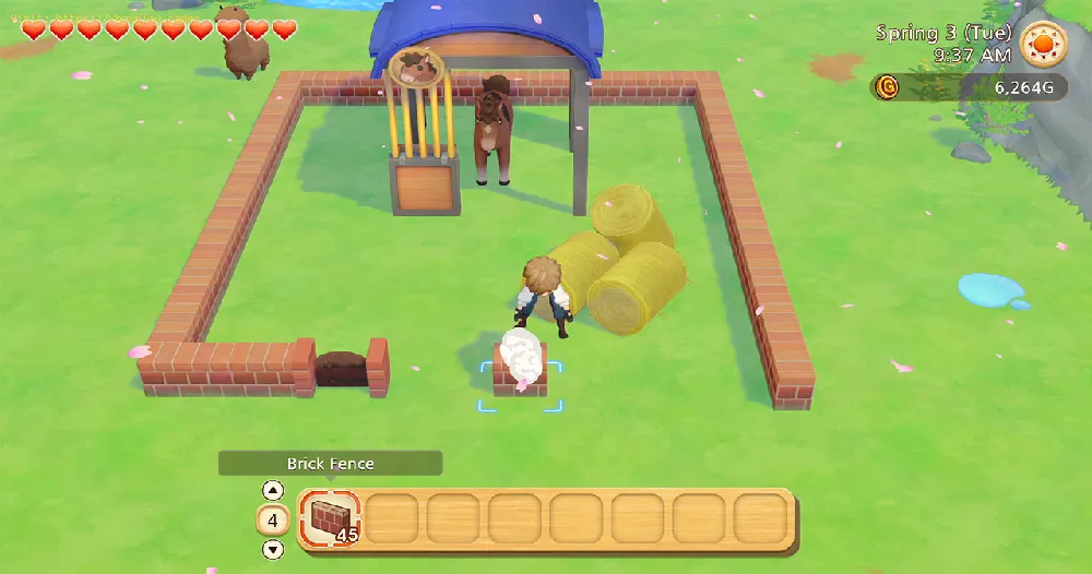 Story of Seasons Pioneers of Olive Town：無垢材の場所
