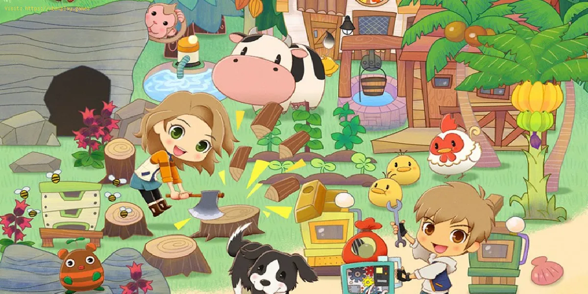 Story of Seasons Pioneers of Olive Town : augmenter la production animale