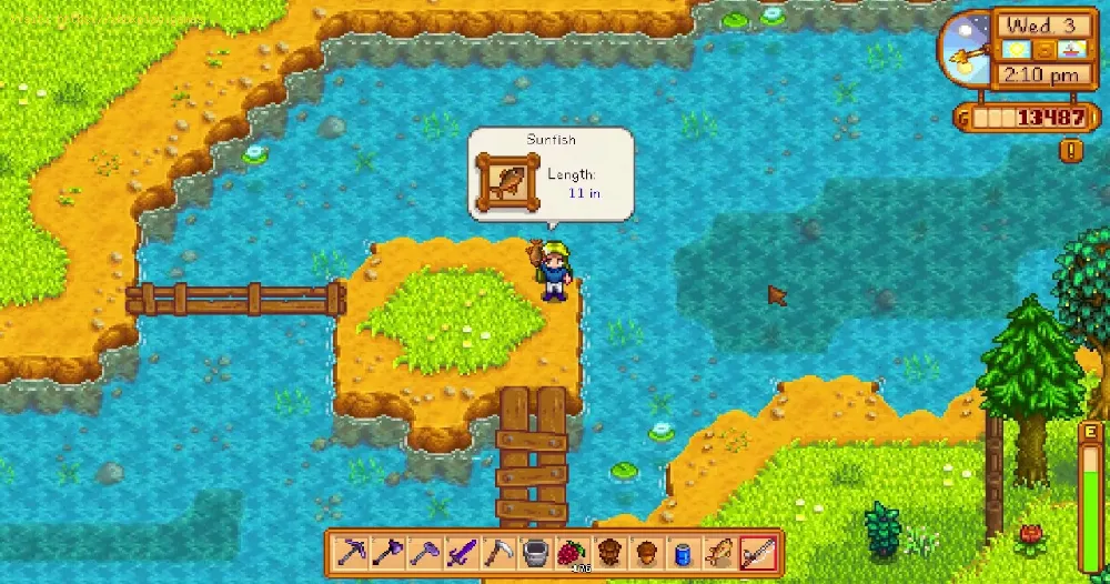 Stardew Valley: How to Catch Sunfish - Tips and tricks