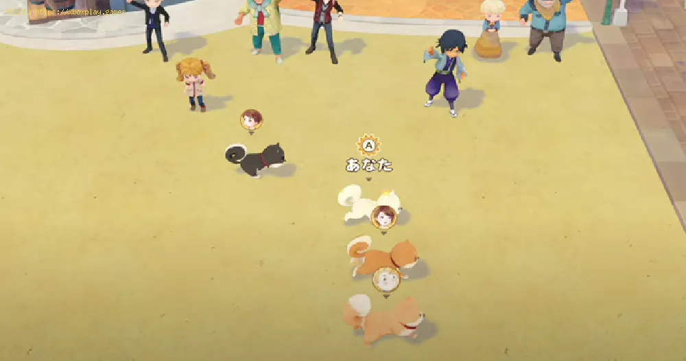 Story of Seasons Pioneers of Olive Town: How to get more Carry Capacity