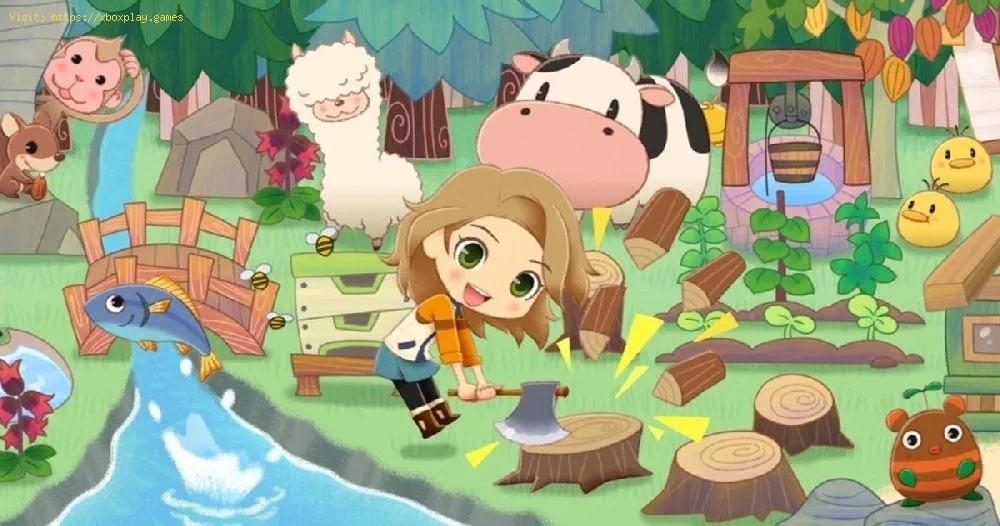 Story Of Seasons Pioneers Of Olive Town：生地の作り方