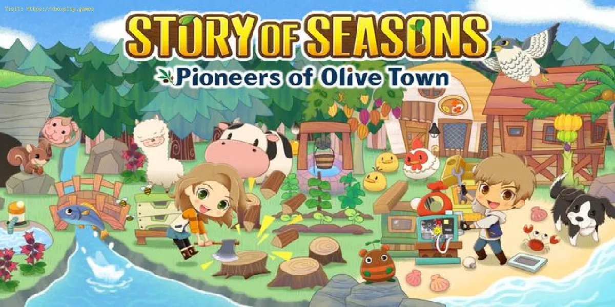 Story Of Seasons Pioneers Of Olive Town: Como ganhar mais dinheiro