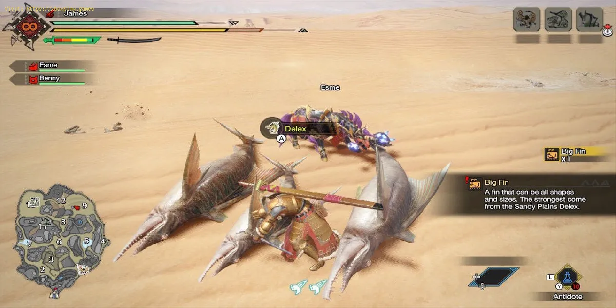 Monster Hunter Rise: Comment trouver Big Fin