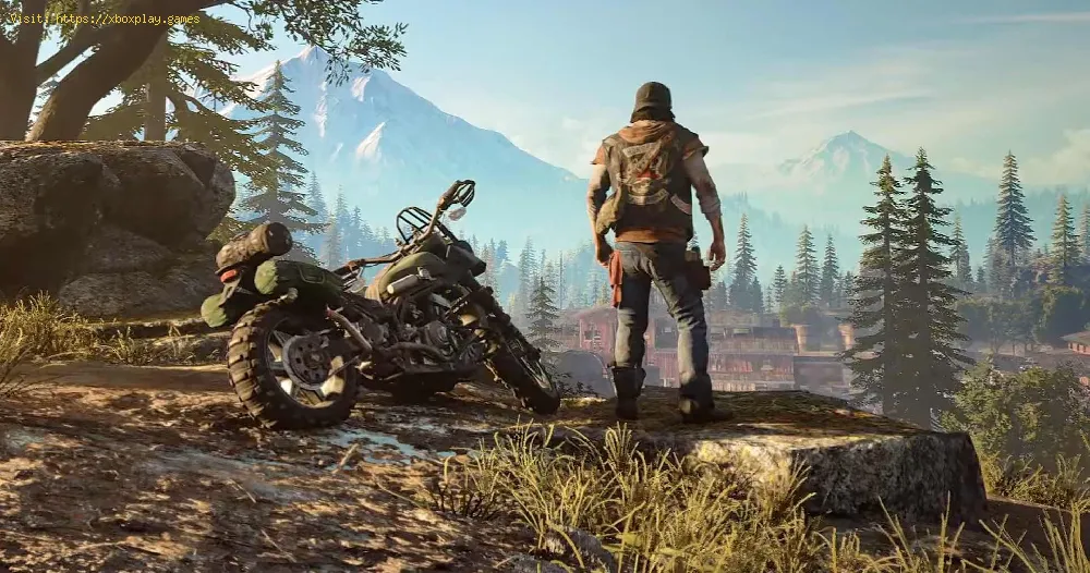 Days Gone: Make Money Fast and easily