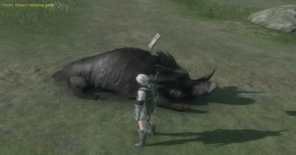 NieR Replicant Ver1.22: How To Find The Wild Boar