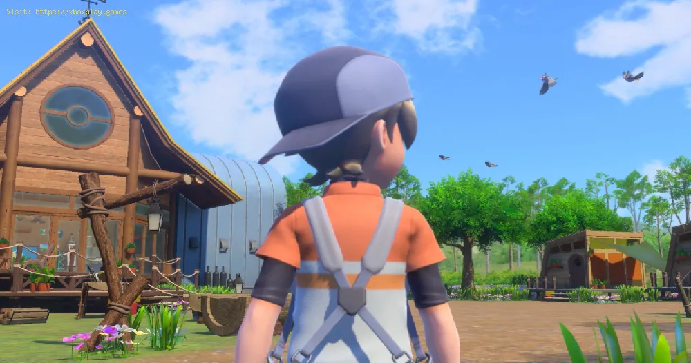 New Pokemon Snap: How to Complete The Empty Room
