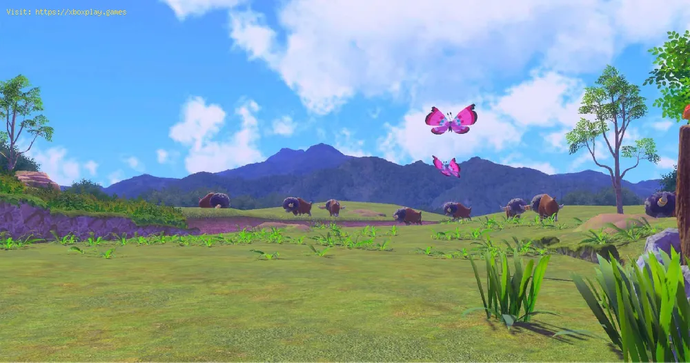 New Pokemon Snap: How to Complete Head-to-Head Competition