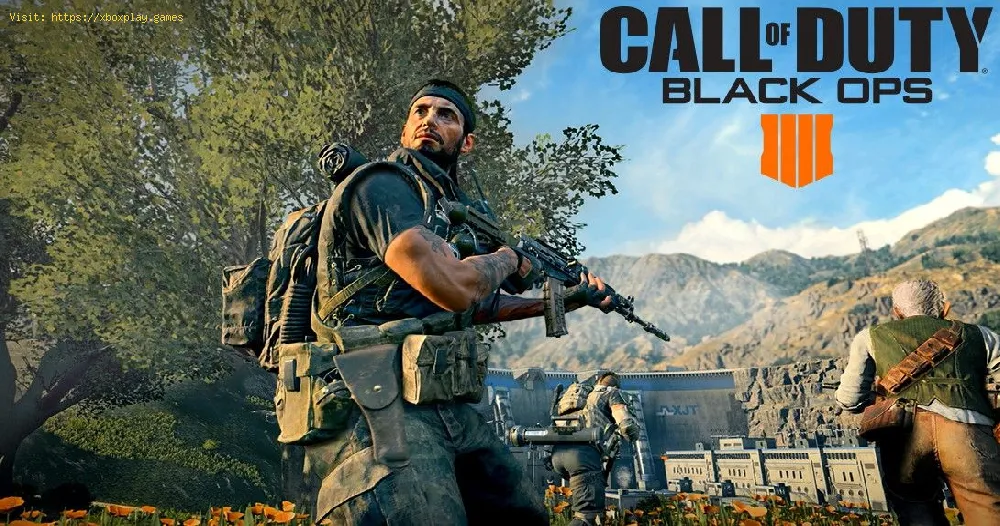 Call of Duty Blackout battle royale mode Tips and Tricks to win