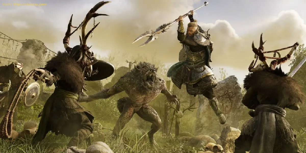 Assassin's Creed Valhalla: Wie man Bücher in Wrath of the Druids bekommt