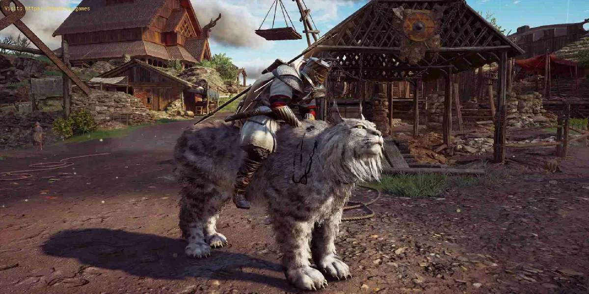 Assassin's Creed Valhalla: Wie man in Wrath of the Druids ein Luchs-Reittier bekommt