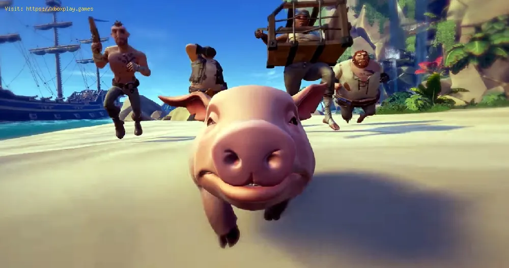 Sea of Thieves: Where to find and catch chickens and pigs