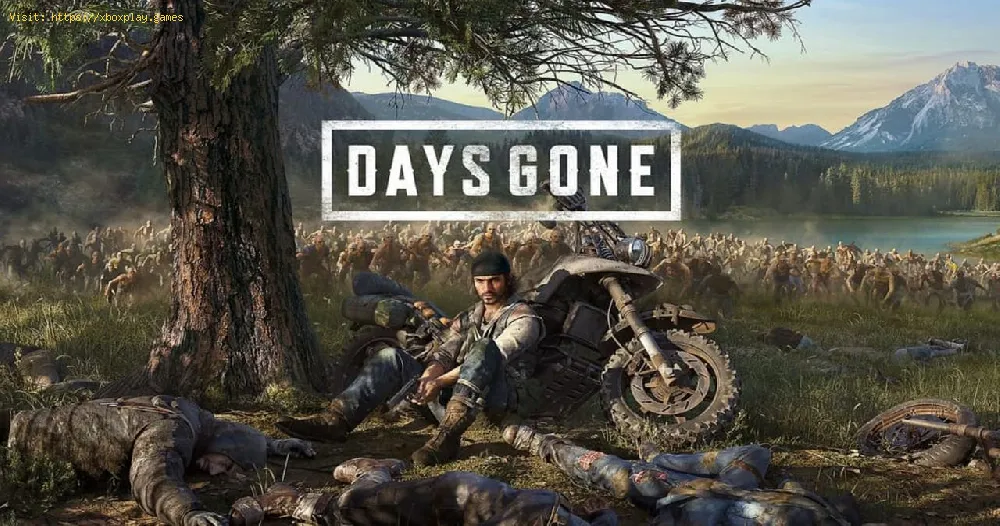 Days Gone: How to Fix the Black Screen on PC