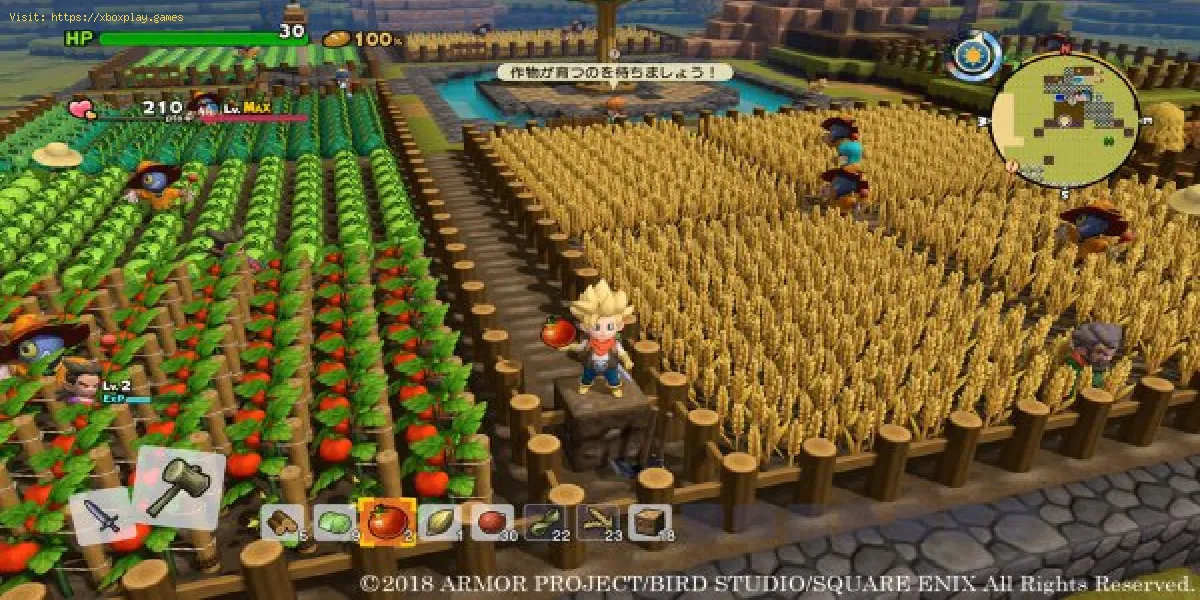 Dragon Quest Builders 2: come piantare i pomodori