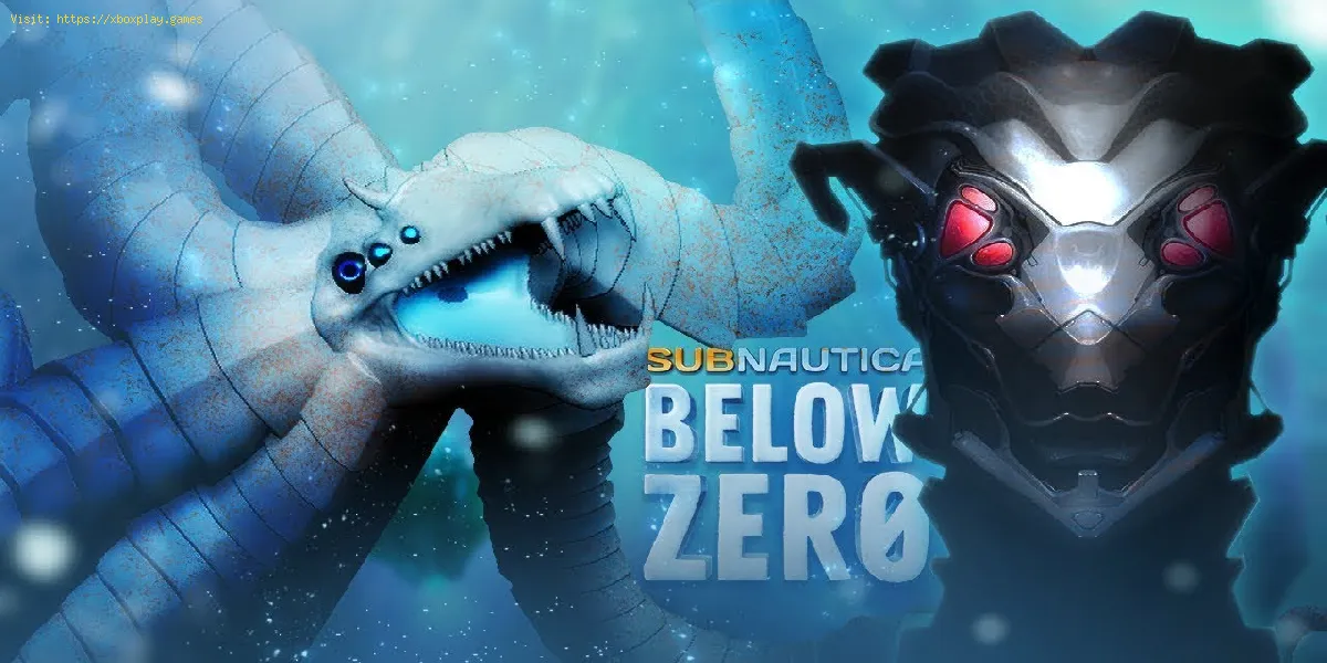 Subnautica Below Zero: Wo finde ich alle Eier?