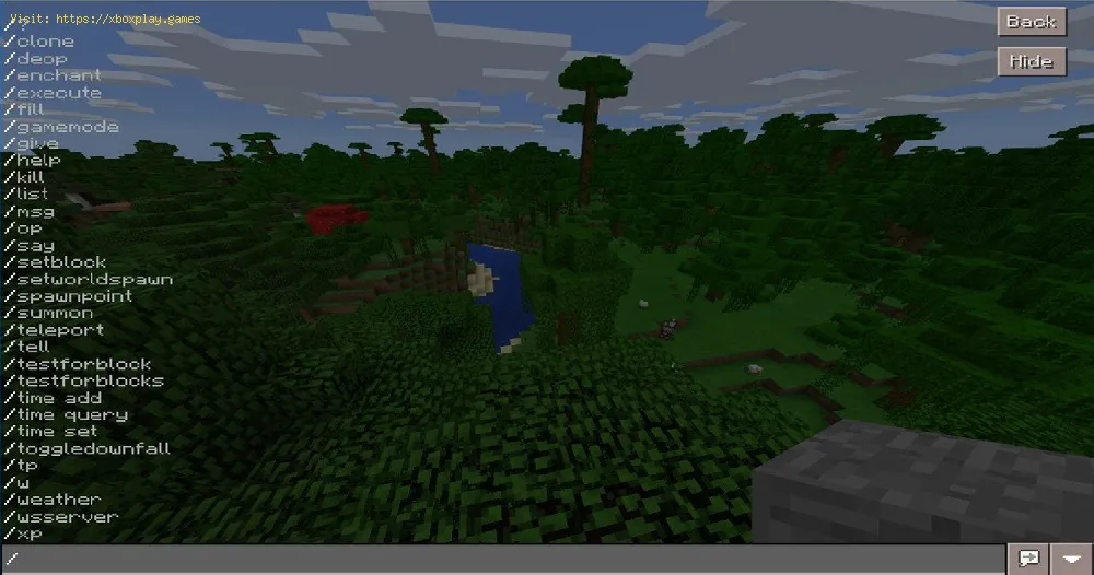 Minecraft cheats:  commands you need to cheat