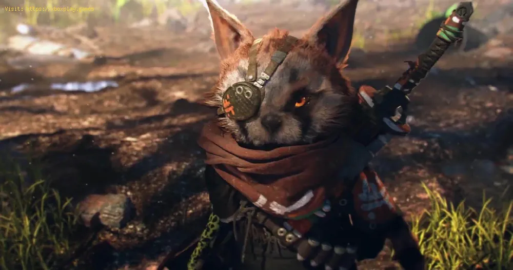 Biomutant: How to Solve Rotation Puzzles