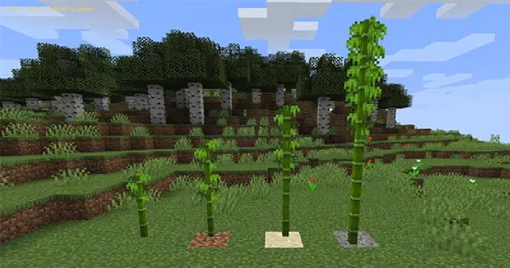 Minecraft：竹の入手方法