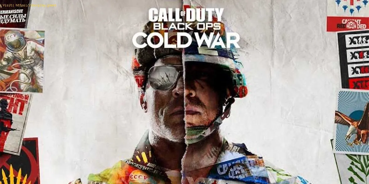 Call of Duty Black Ops Cold War: So beheben Sie den Bravo-Fehlercode 381