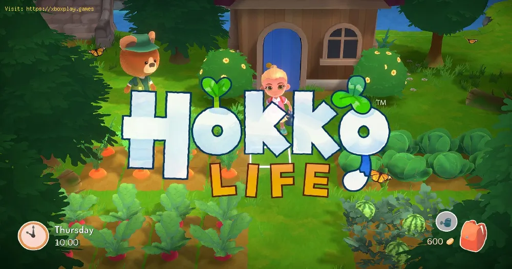 Hokko Life: How to get worms
