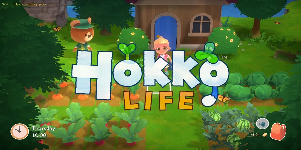 Hokko Life: Wie man Würmer bekommt